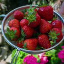 Adcraft Premium Tinned Double-Mesh Steel Strainer, in Silver